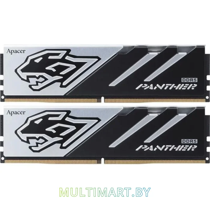 Оперативная память Apacer Panther 2x16GB DDR5 PC5-51200 (AH5U32G64C5527BAA-2)